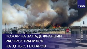 Пожар на западе Франции распространился на 3,1 тыс. гектаров