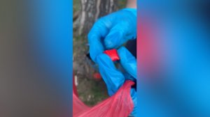 «Случайно» нашёл несколько закладок