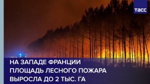 На западе Франции площадь лесного пожара выросла до 2 тыс. га