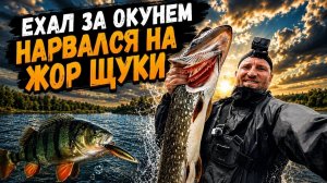 Ехал за окунем, поймал КРОКАДИЛА!!