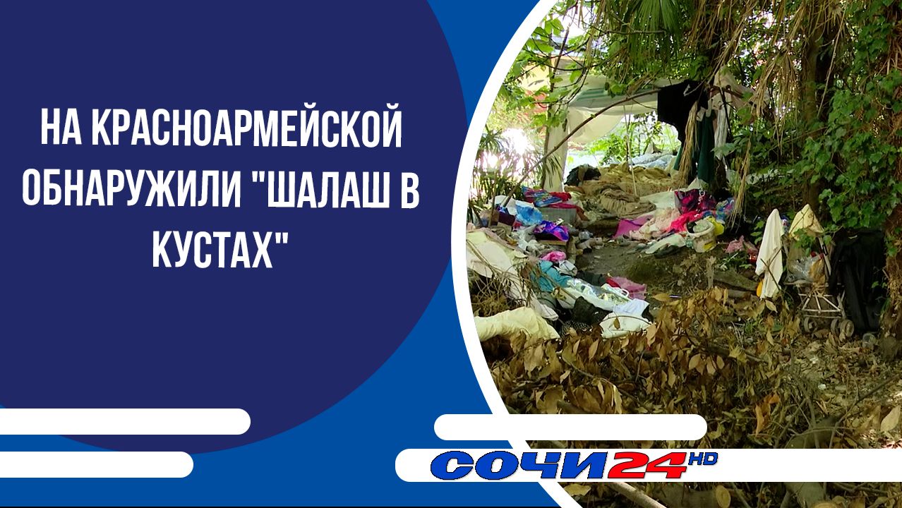 На Красноармейской обнаружили "шалаш в кустах" смотреть онлайн