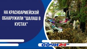 На Красноармейской обнаружили «шалаш в кустах»