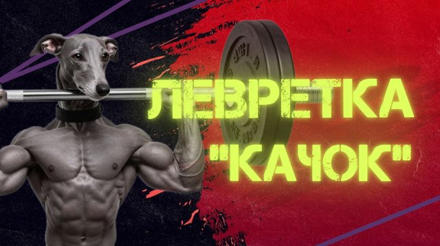 ЛЕВРЕТКА КАЧОК. СМЕШНОЕ ВИДЕО. ЛЕВРЕТКА КАЧОК. СМЕШНОЕ ВИДЕО.