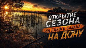 Открытие рыболовного сезона на дикого сазана на Дону.