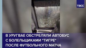 В Уругвае обстреляли автобус с болельщиками «Тигре» после футбольного матча