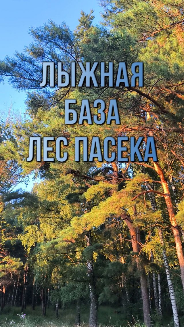 Лыжная база. Лес Пасека. Елецкий район. Липецкая область Лыжная база. Лес Пасека. Елецкий район. Липецкая область