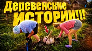 КОШМАААР КАКИЕ ПРИШЛИ САЖЕНЦЫ | ОБМАНЫВАЮТ НА КАЖДОМ ШАГУ | Деревенские истории