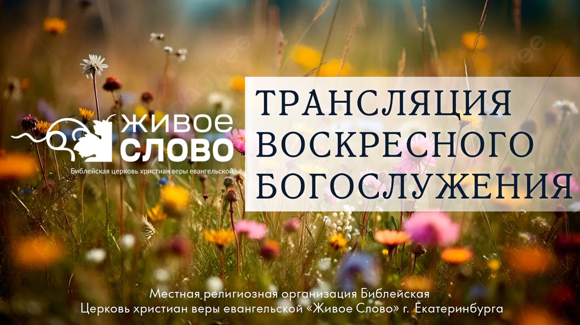 26 июля 2026 в 11:00 (ЕКБ) / Воскресное #Богослужение / Церковь «Живое Слово» смотреть онлайн
