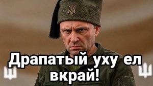 ДРАПАТЫЙ УХУ ЕЛ ВКРАЙ ПЕРЕШЕЛ К ОСКОРБЛЕНИЯМ В АДРЕС РОССИИ И ДОНБАССА