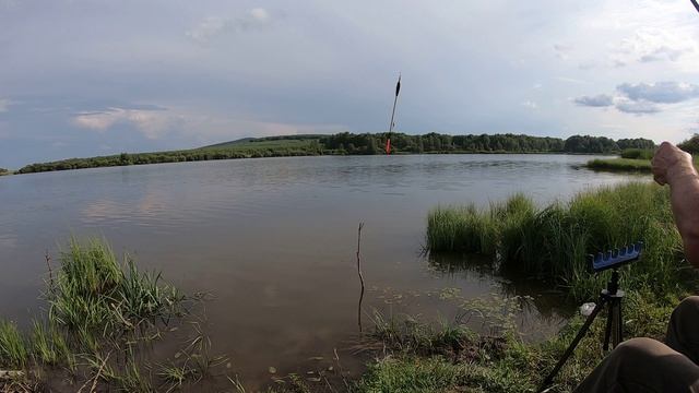 На какой глубине ловить карася в июле?  23.07.2026 г.