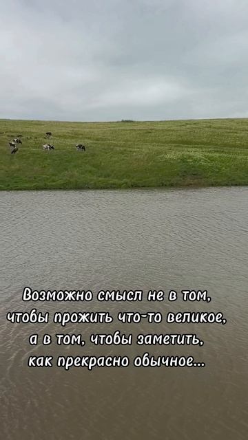 Момент релакса
