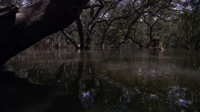 хищные воды 🌊 2 ужасы смотреть онлайн
