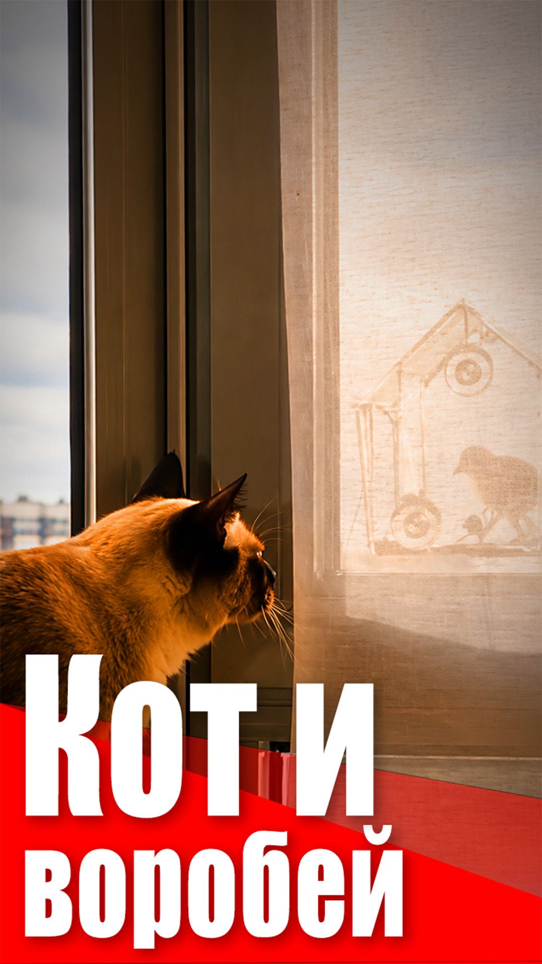 Кот и воробей