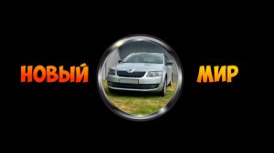 Skoda Octavia А7 Чистка дроссельной заслонки