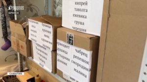От иван-чая до репешка: брянская травница рассказала, что собирать летом