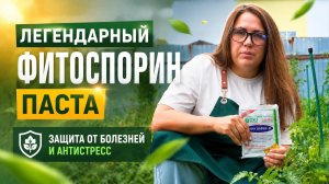 Как защитить растения от болезней и стрессов без больших затрат?