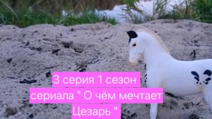 3 серия 1 сезон сериала « О чём мечтает Цезарь «