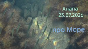 Анапа 23.07.2026 про Море