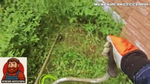 БЫСТРО КОШУ ТРАВУ ПОСЛЕ ДОЖДЯ. Покос плотного колоса вокруг дома триммером stihl 491