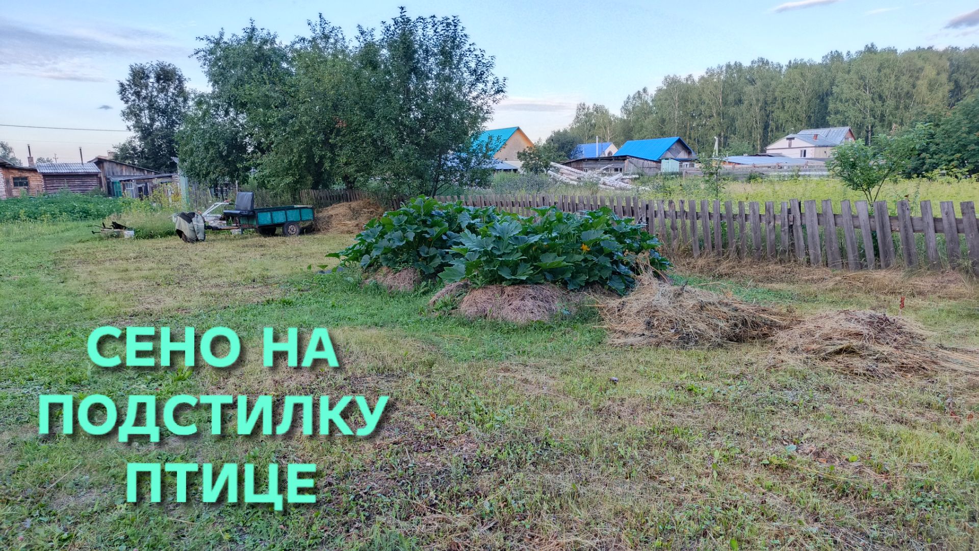 Жизнь в деревне не стоит на месте Первый покос сена на подстилку курам на зиму смотреть онлайн