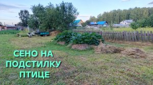 Жизнь в деревне не стоит на месте Первый покос сена на подстилку курам на зиму
