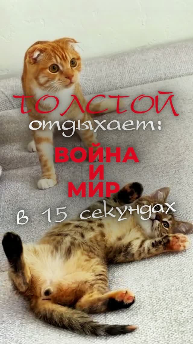 Толстой отдыхает: Война и Мир в 15 секундах