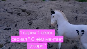 «О чем мечтает Цезарь» 1 серия 1 сезона