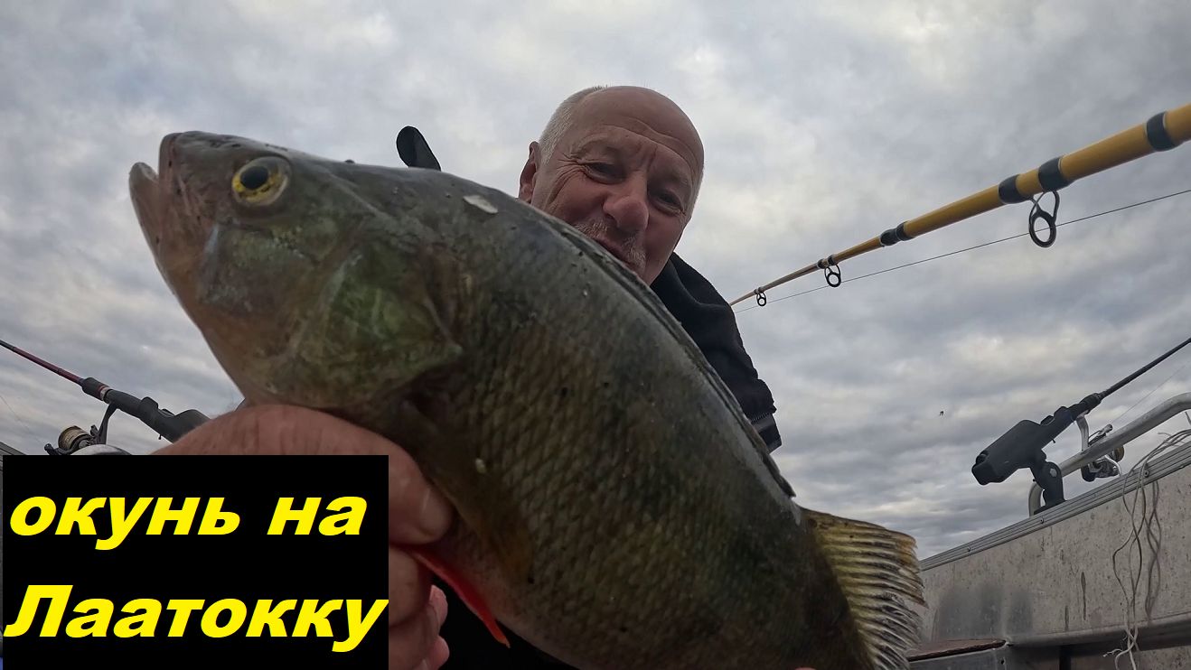 Килограммовые окуни. Цвет воблера на окуня. смотреть онлайн