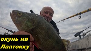 Килограммовые окуни. Цвет воблера на окуня.