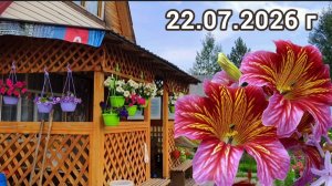 У сестружки на даче. Хочу ,чтобы этот день остался в памяти. (Дача на Севере )