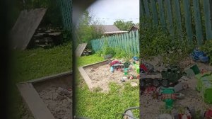 с племянниками
