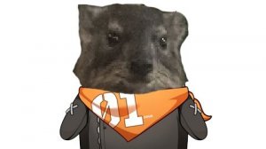 ZZZ#1