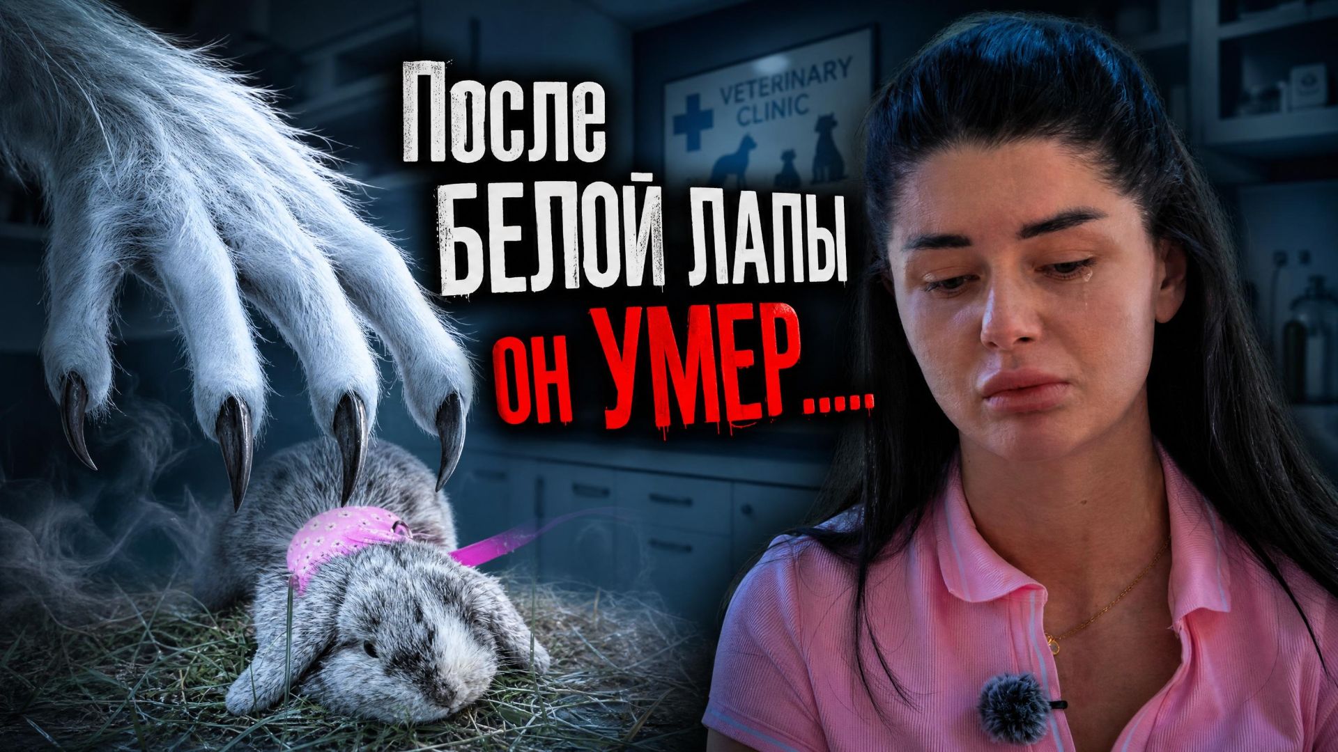 Краснодарцы хотят наказать клинику за смерть крольчихи после операции смотреть онлайн