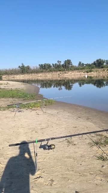 Рыбалка на амура на Дону смотреть онлайн