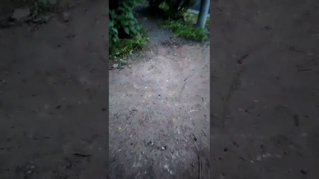 Стрим с моим другом смотреть онлайн