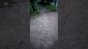 Стрим с моим другом