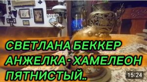 САМВЕЛ АДАМЯН, ОБЗОР ОТ СВЕТЛАНЫ БЕККЕР, АНЖЕЛКА - ХАМЕЛЕОН ПЯТНИСТЫЙ..
