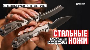 Новый БЕГЕМОТ, сталь VG10 и ЗАГАДОЧНЫЕ КОРОБКИ — стальная серия Daggerr обновилась
