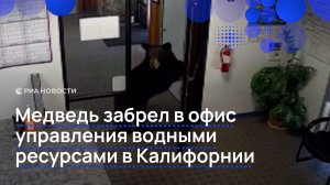 Медведь забрел в офис управления водными ресурсами в Калифорнии