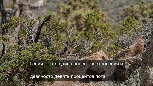 Я ледяной но я таю от воспоминаний 13