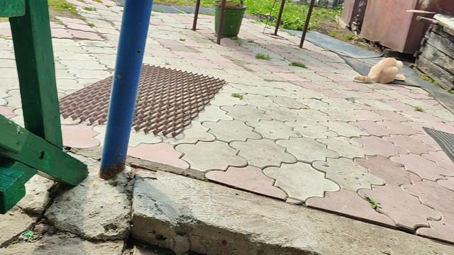 Саратов 24.07.26 что РЕАЛЬНО происходит прямо сейчас смотреть онлайн