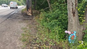 Огненное ДТП под Казанью с шестью сгоревшими подростками: что известно