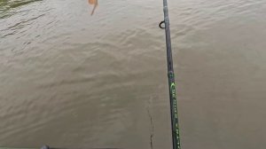 🔺️🎣В ПРОВОДКУ🎣🔺️