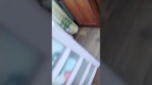 дашуся