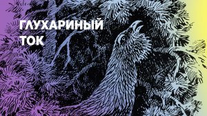Глухариный ток