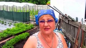 Нервов не хватает , встала и пошла...день пройдёт не зря...