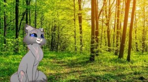 Когда делать стрим?