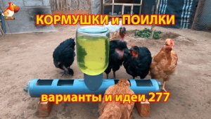 Кормушки и поилки для кур своими руками (277) 🪚✂️ Пошаговая инструкция как сделать 🐔 🐓❣️