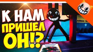 СЕКРЕТЫ К НАМ ПРИШЕЛ СТАЛКЕР ПАЦИЕНТ В ANIMAL HOSPITAL 🩸 БОЛЬНИЦА ДЛЯ ЖИВОТНЫХ АНОМАЛИЯ ROBLOX