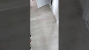 ну обычна трансляция